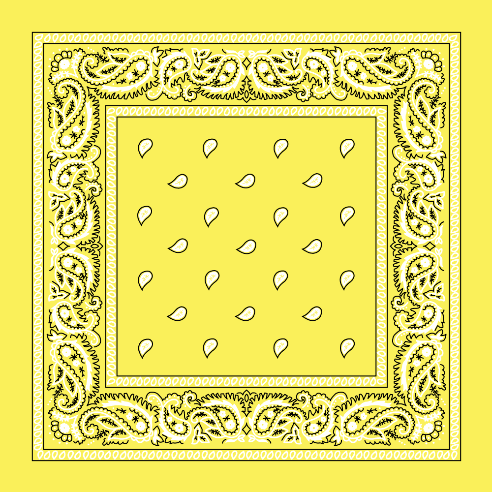 Classic Paisley Handkerchiefs - Imported - 100% cotton