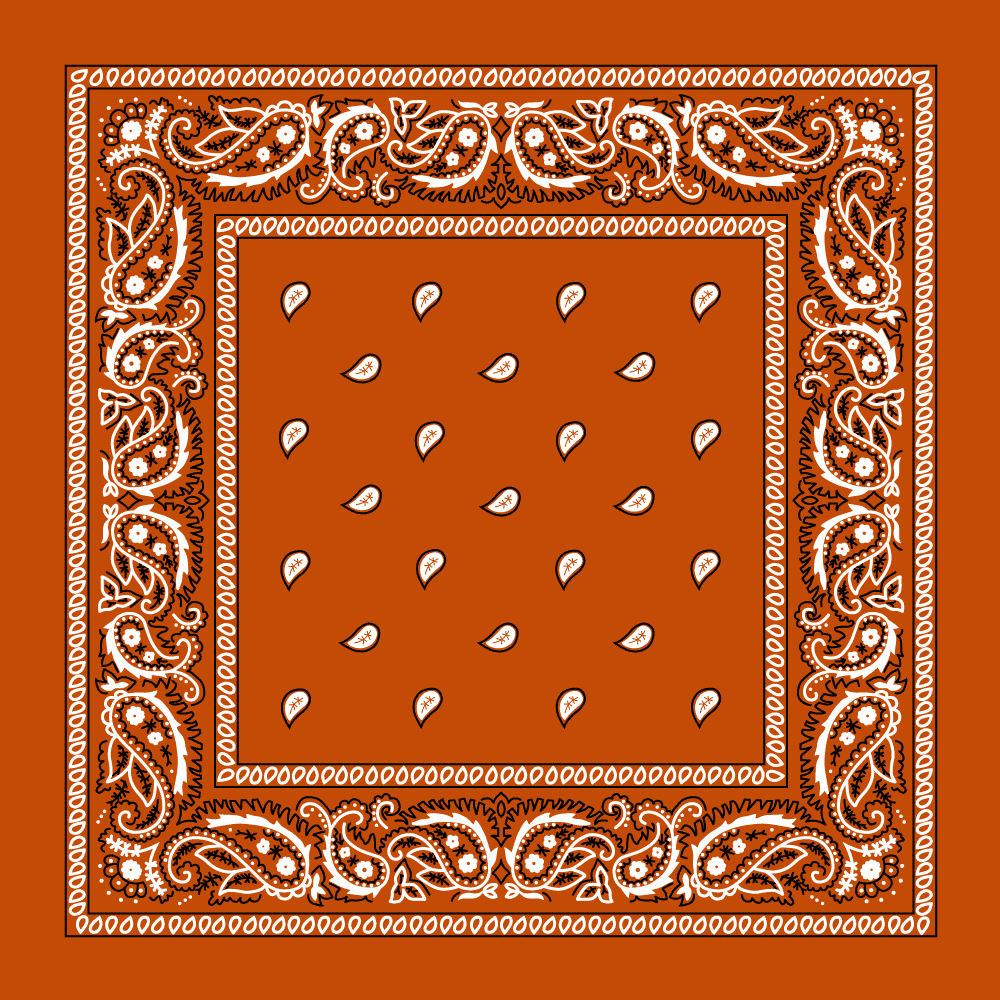 Classic Paisley Handkerchiefs - Imported - 100% cotton