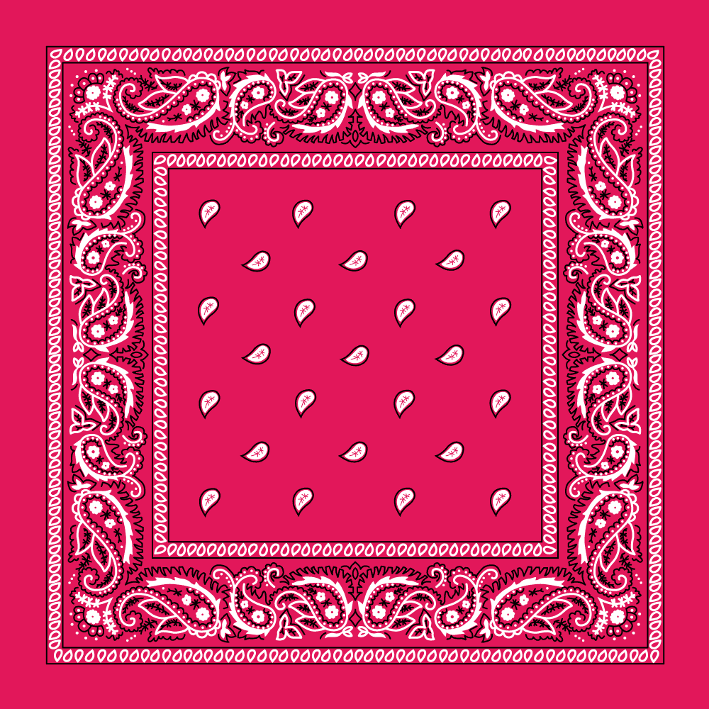 Classic Paisley Handkerchiefs - Imported - 100% cotton
