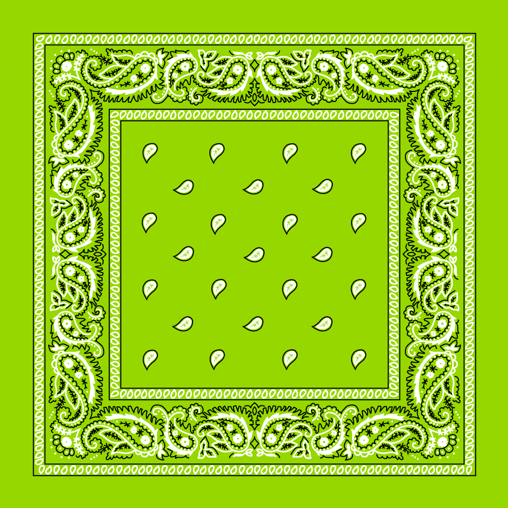 Classic Paisley Handkerchiefs - Imported - 100% cotton