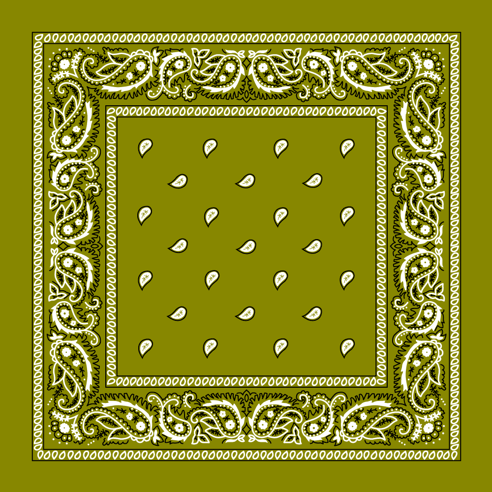 Classic Paisley Handkerchiefs - Imported - 100% cotton
