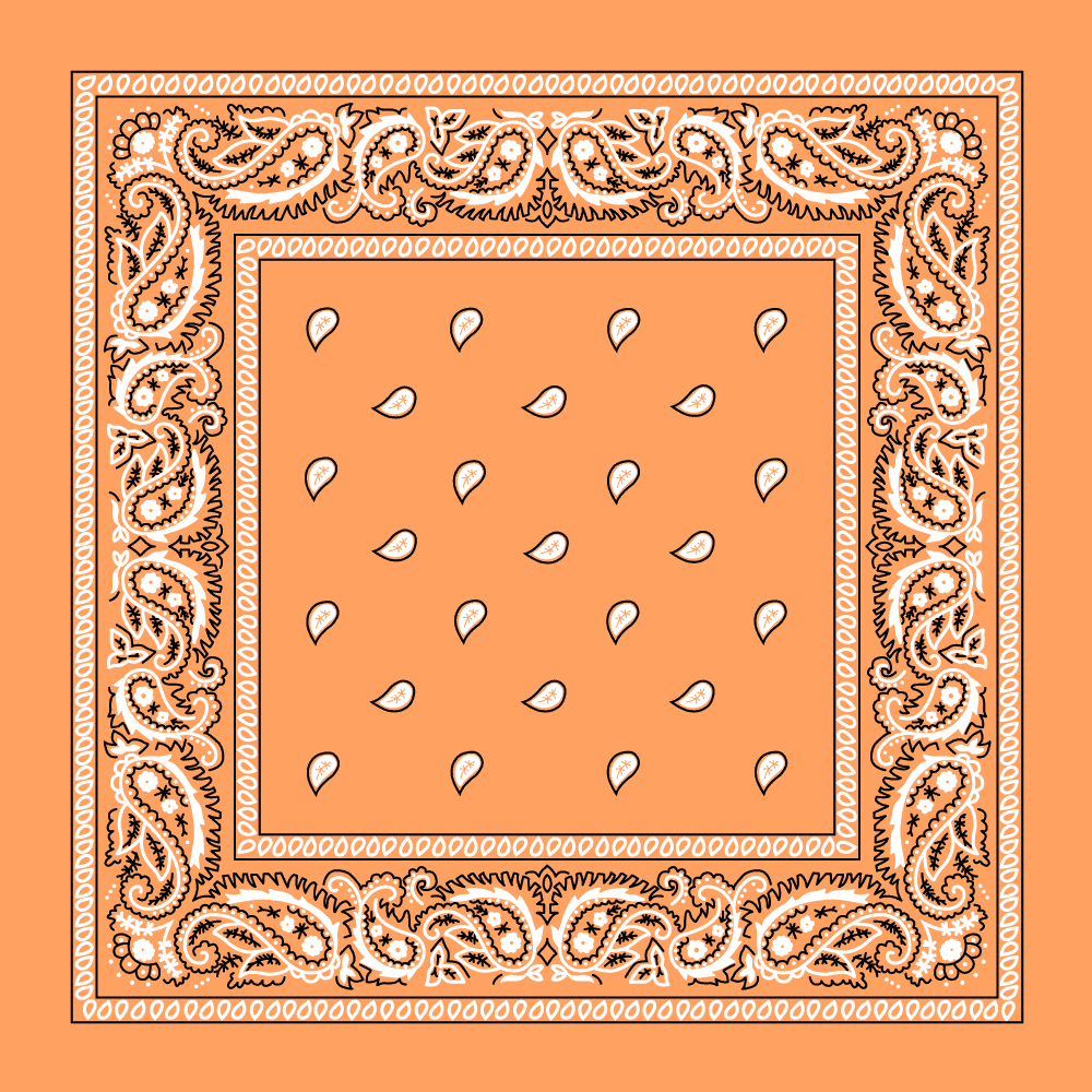 Classic Paisley Handkerchiefs - Imported - 100% cotton