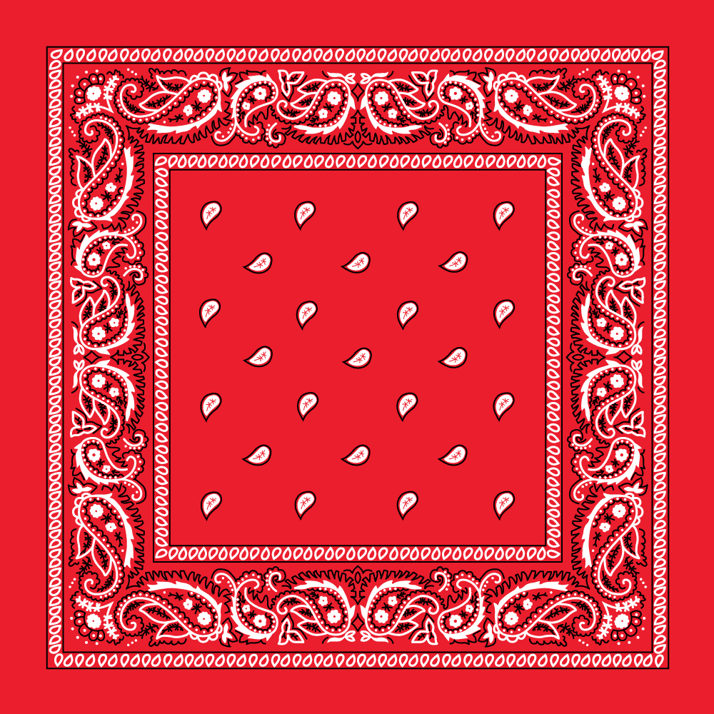 Classic Paisley Handkerchiefs - Imported - 100% cotton