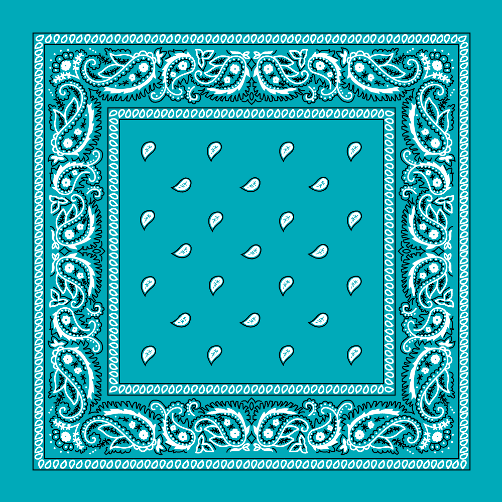 Classic Paisley Handkerchiefs - Imported - 100% cotton