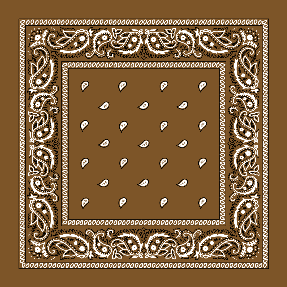 Classic Paisley Handkerchiefs - Imported - 100% cotton