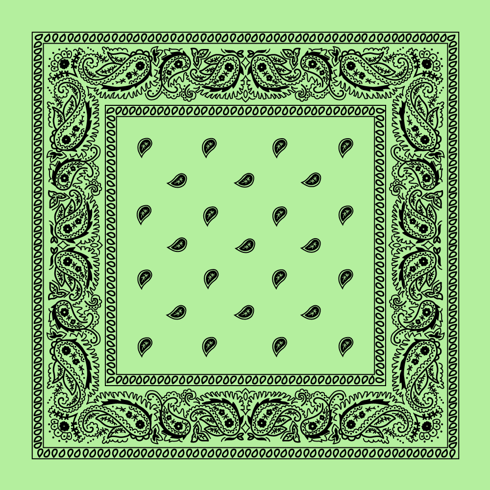 Classic Paisley Handkerchiefs - Imported - 100% cotton
