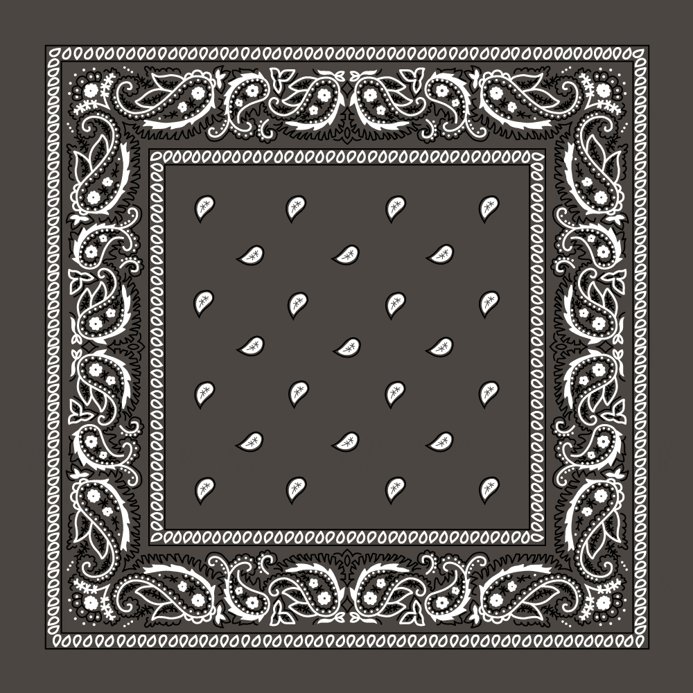 Value Classic Paisley Bandana Imported 100% Cotton