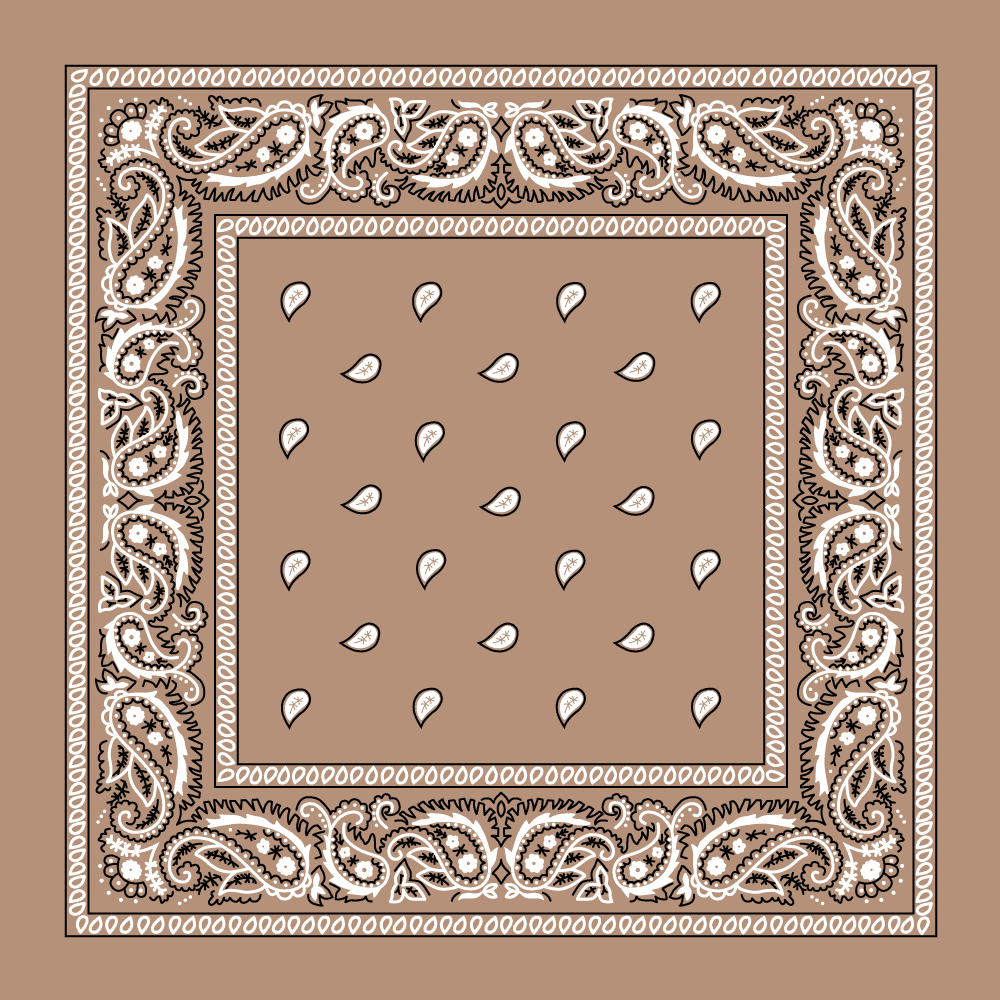 Value Classic Paisley Bandana Imported 100% Cotton