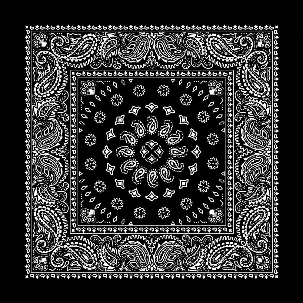 Square Burst Paisley Bandana Imported 100 Cotton