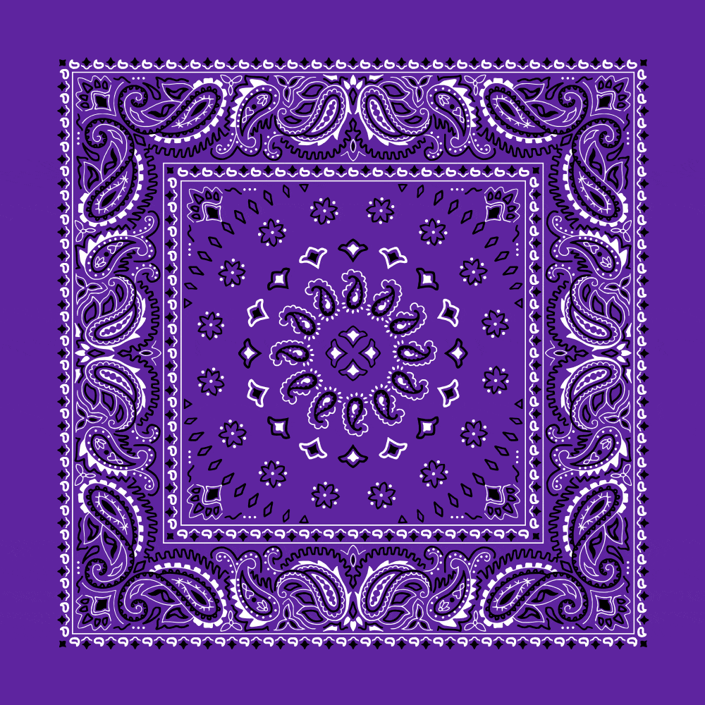 Square Burst Paisley Bandana Imported 100 Cotton