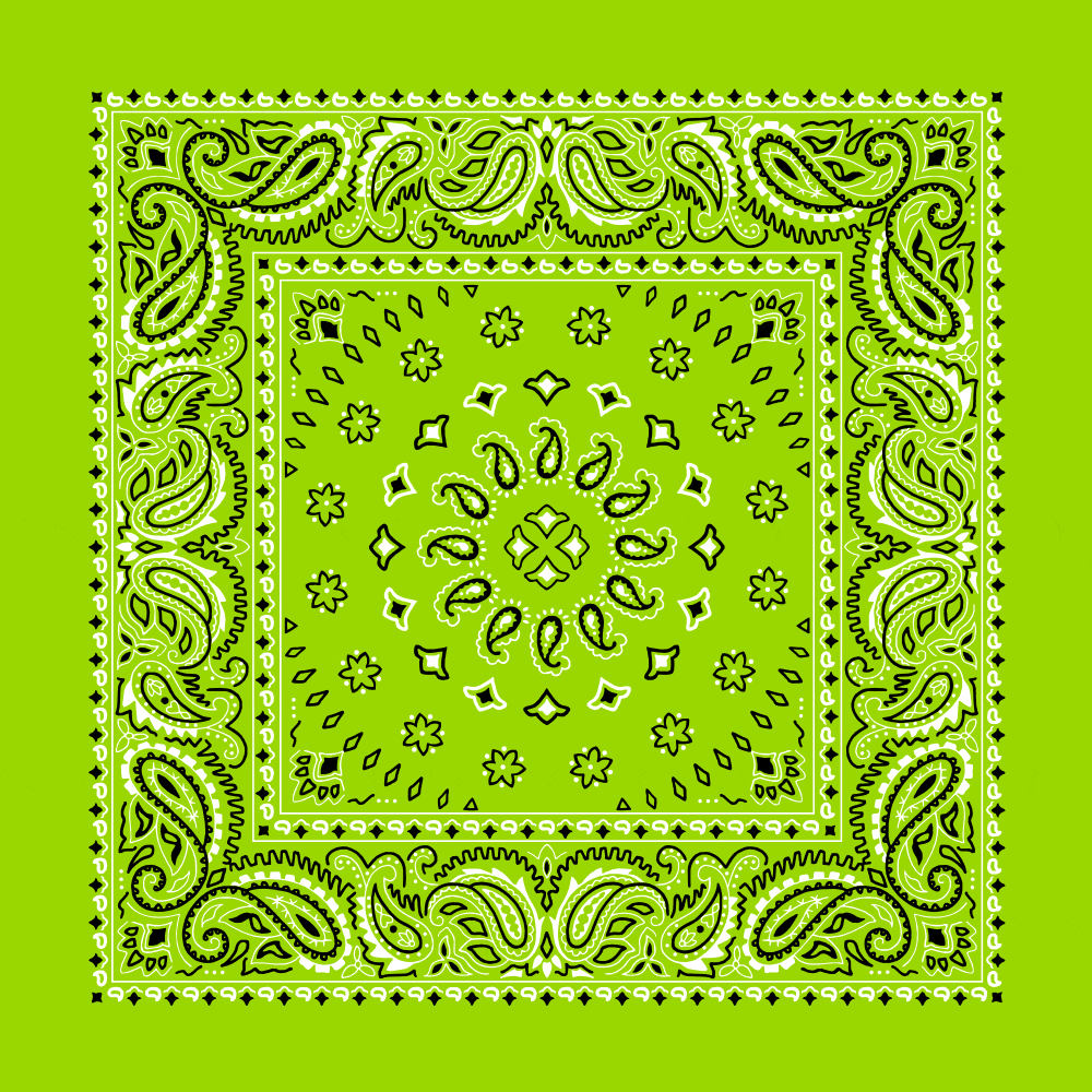 Square Burst Paisley Bandana Imported 100 Cotton