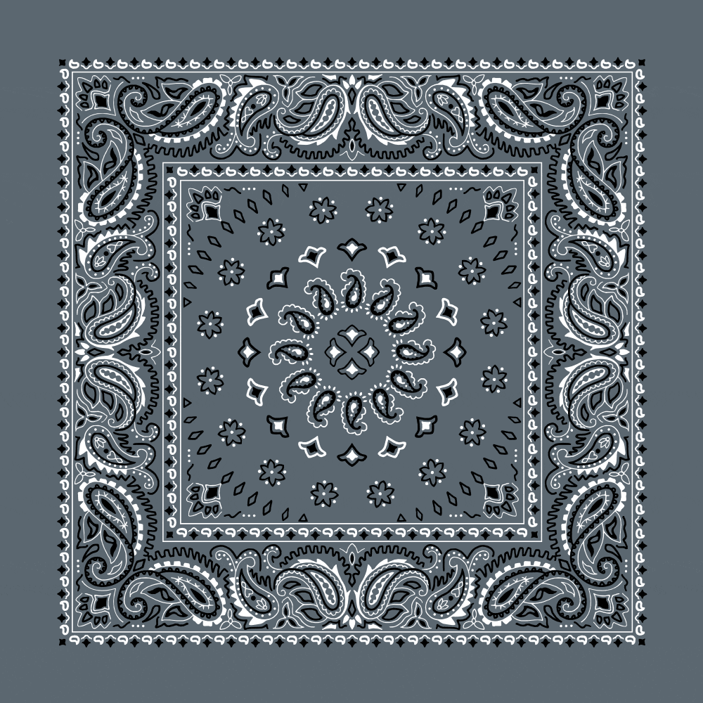 Square Burst Paisley Bandana Imported 100 Cotton