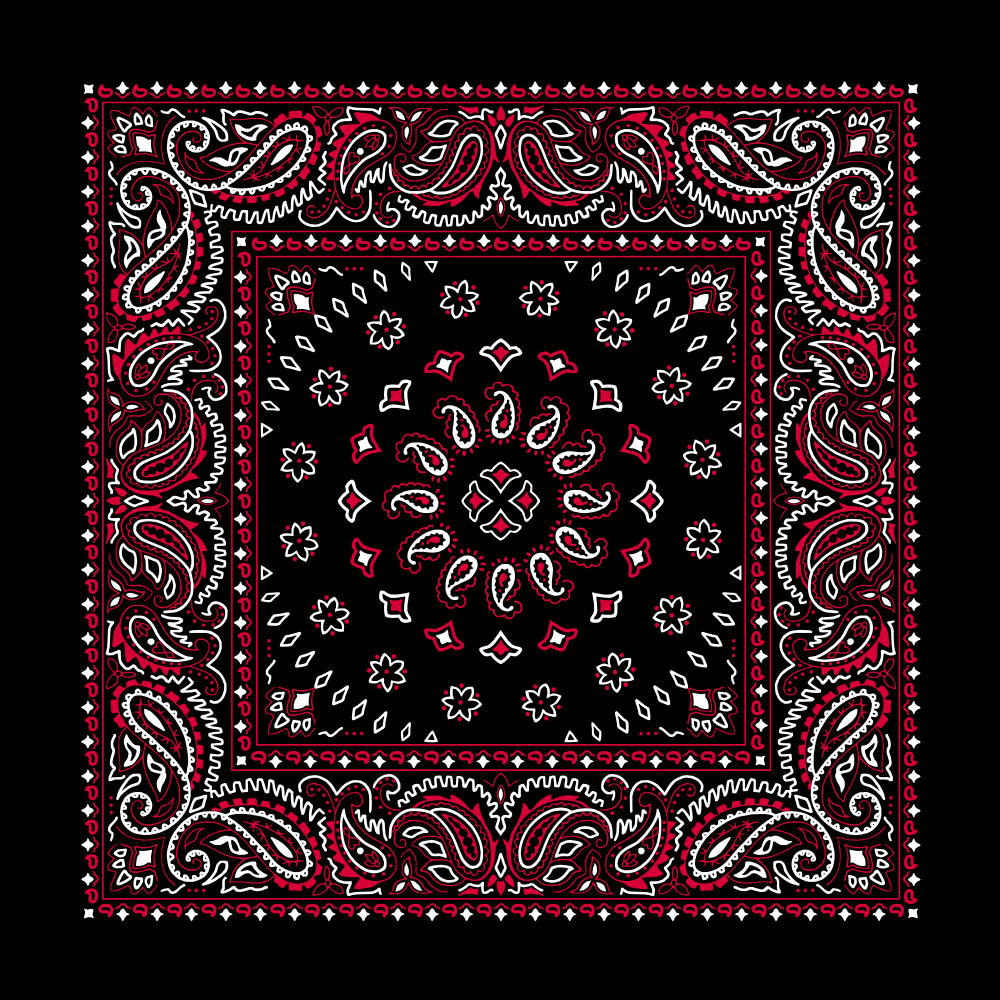 Square Burst Paisley Bandana Imported 100 Cotton