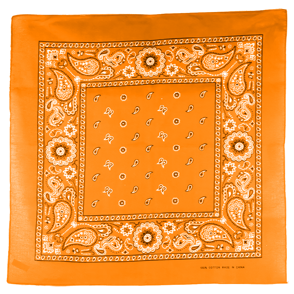 Square Floral Paisley Bandana - Double Sided Print 100% Cotton