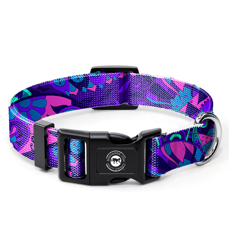 A colorful dog collar features a vibrant purple and pink floral design with intricate patterns. It includes a black plastic buckle and a metal ring for leash attachment.
