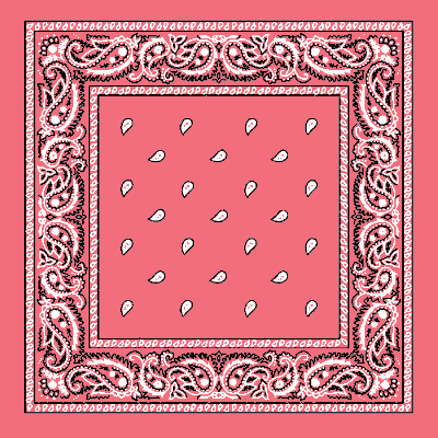 Classic Paisley Handkerchiefs - Imported - 100% cotton