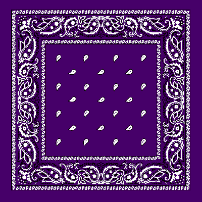 Classic Paisley Handkerchiefs - Imported - 100% cotton