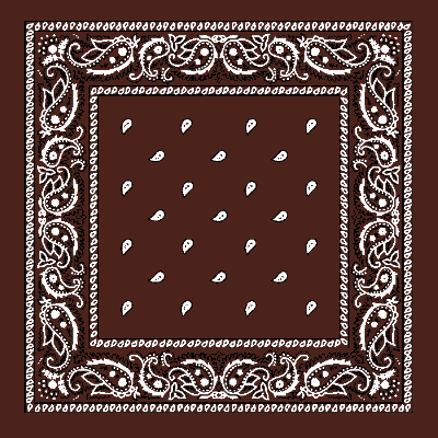 Classic Paisley Handkerchiefs - Imported - 100% cotton