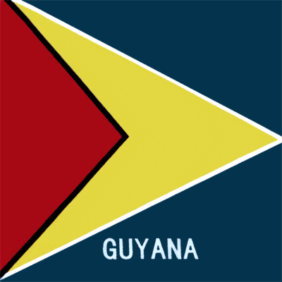 22 x 22 Guyana Flag Bandana 22x22 Inch-12 pieces-