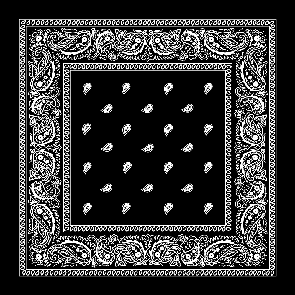 Classic Paisley Handkerchiefs - Imported - 100% cotton