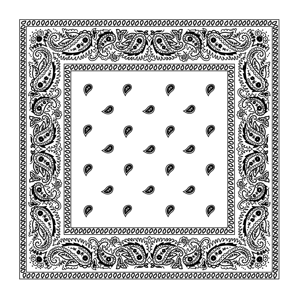 Classic Paisley Handkerchiefs - Imported - 100% cotton