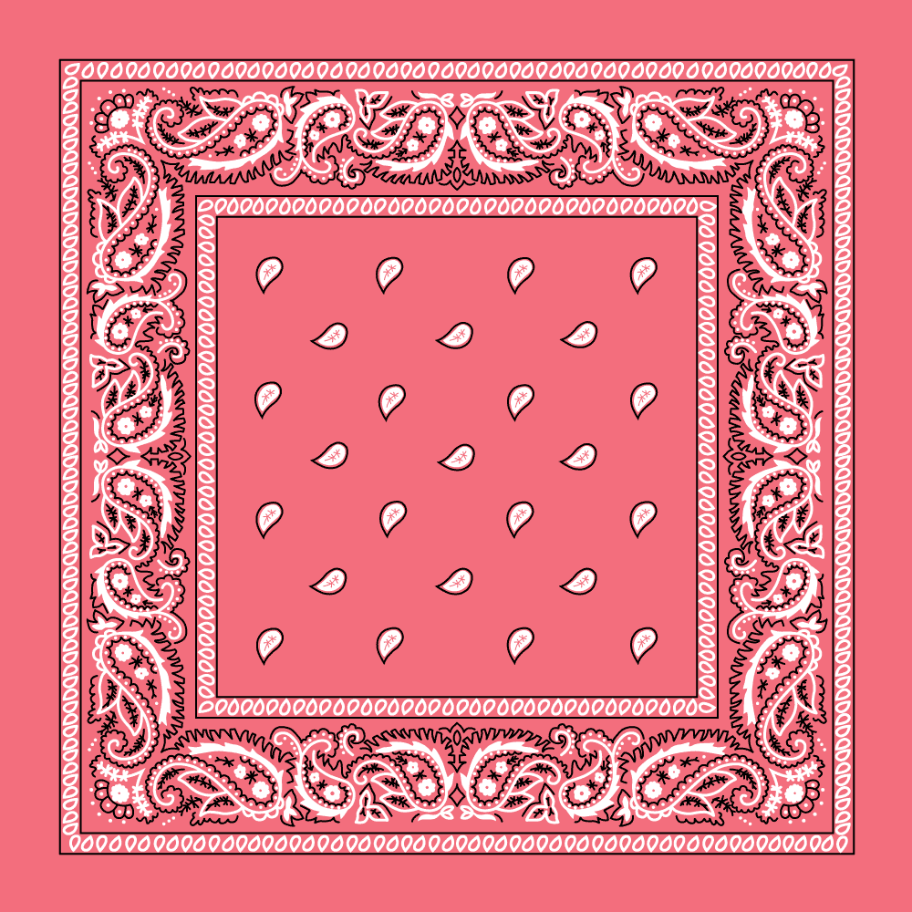 Classic Paisley Handkerchiefs - Imported - 100% cotton
