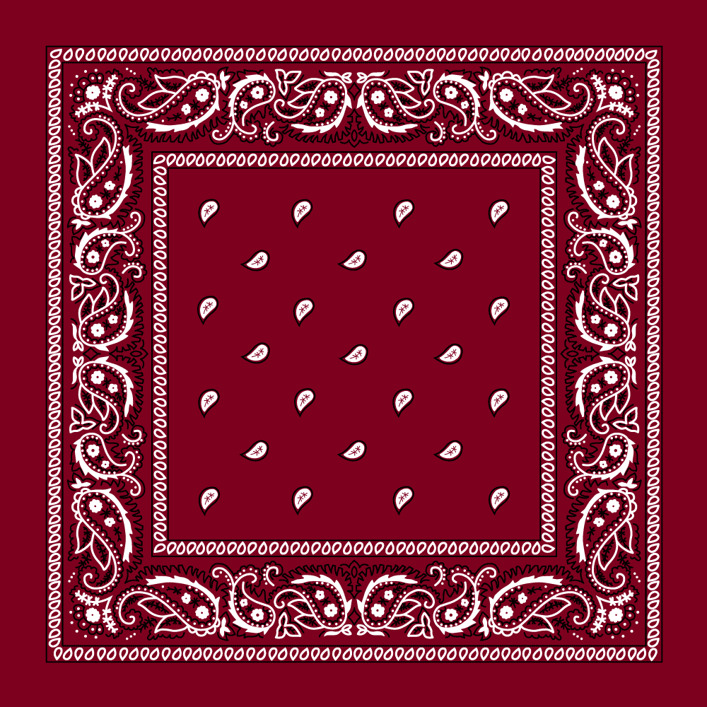 Classic Paisley Handkerchiefs - Imported - 100% cotton