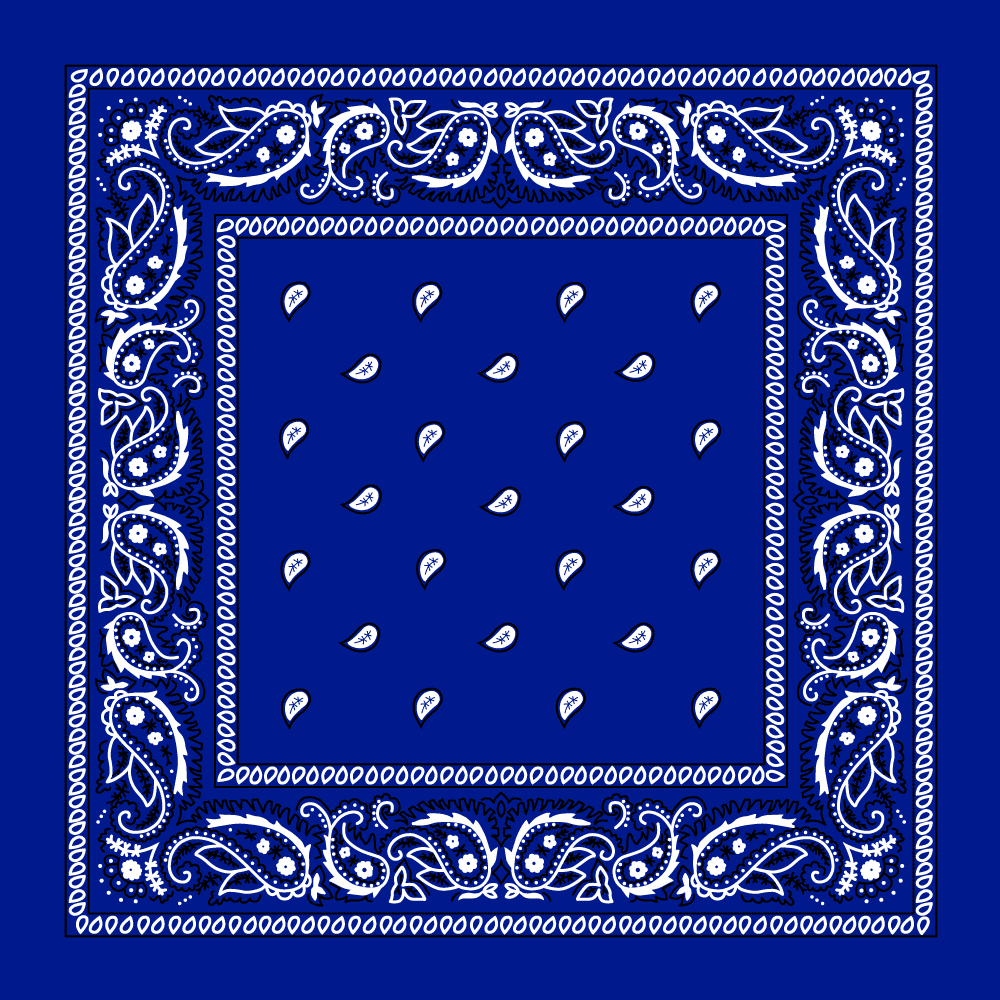 Classic Paisley Handkerchiefs - Imported - 100% cotton