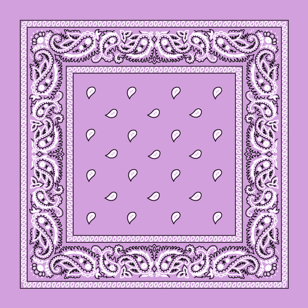 Classic Paisley Handkerchiefs - Imported - 100% cotton