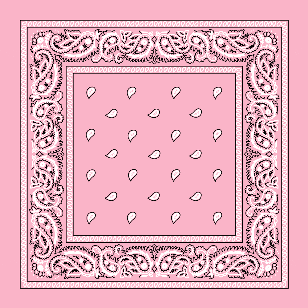 Classic Paisley Handkerchiefs - Imported - 100% cotton