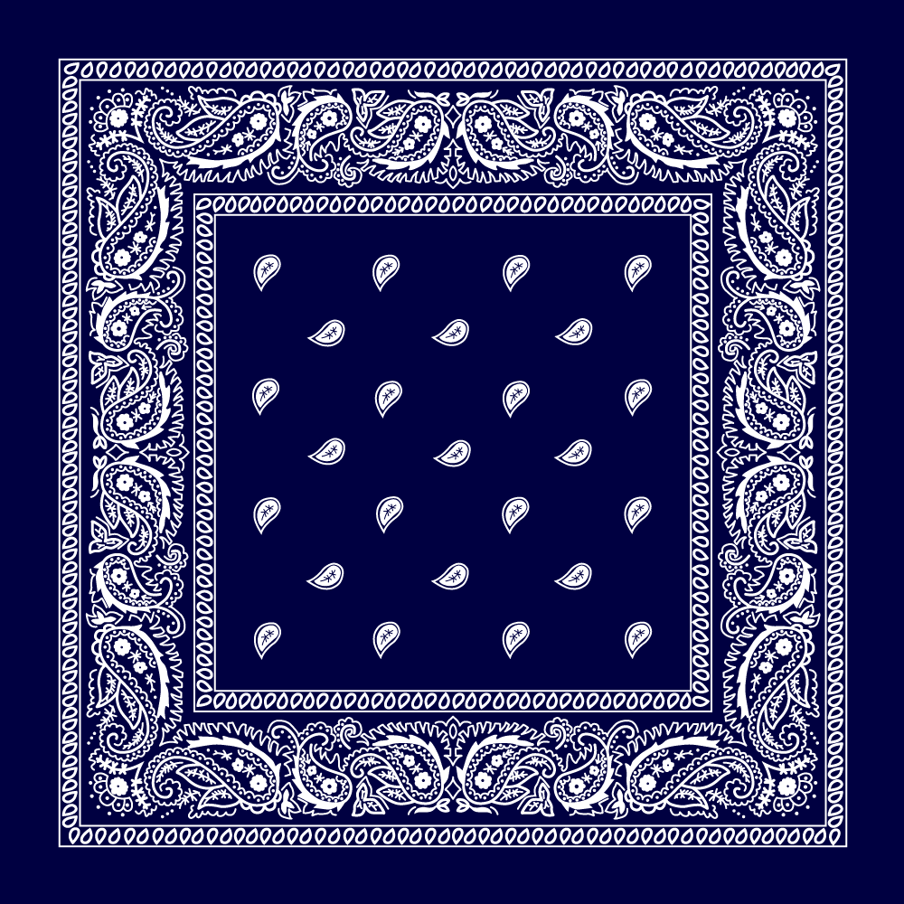 Classic Paisley Handkerchiefs - Imported - 100% cotton