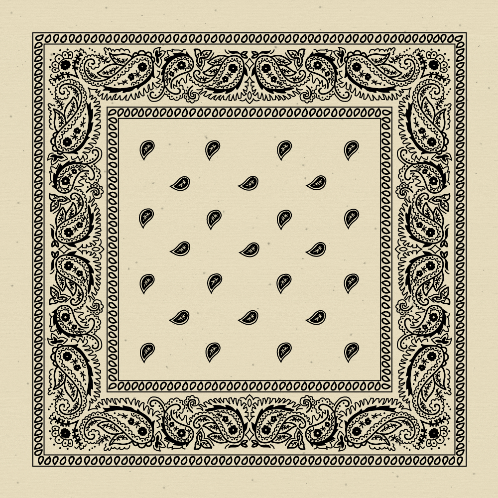 Classic Paisley Handkerchiefs - Imported - 100% cotton