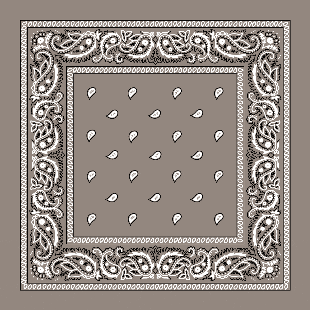 Value Classic Paisley Bandana Imported 100% Cotton