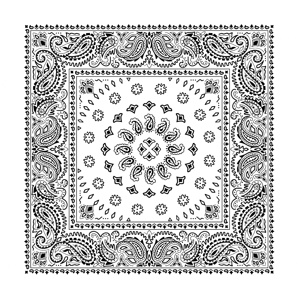 Square Burst Paisley Bandana Imported 100 Cotton