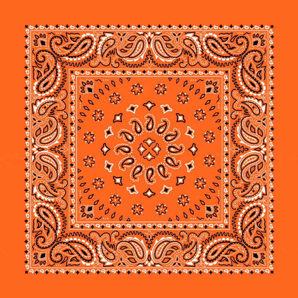 Square Burst Paisley Bandana Imported 100 Cotton
