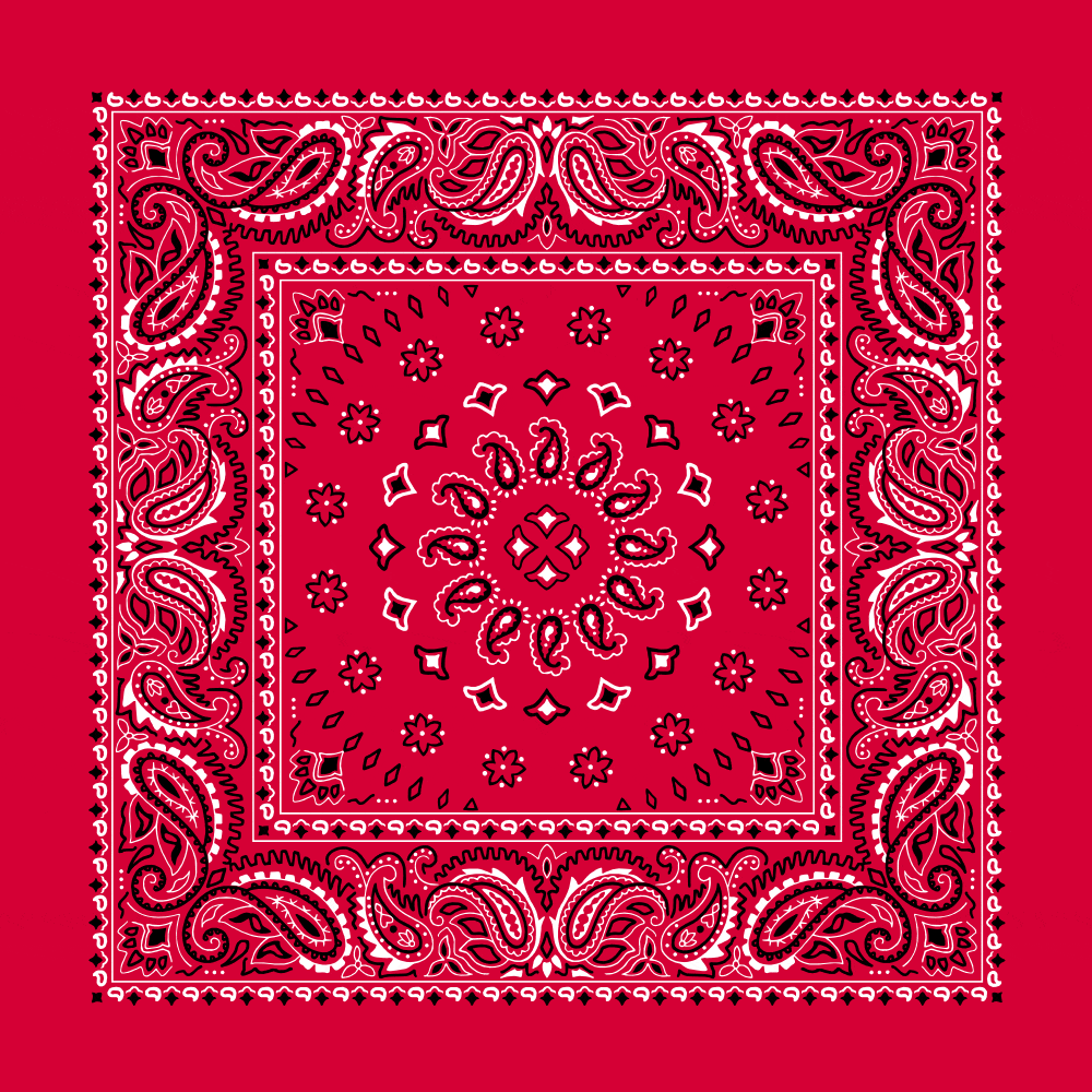 Square Burst Paisley Bandana Imported 100 Cotton