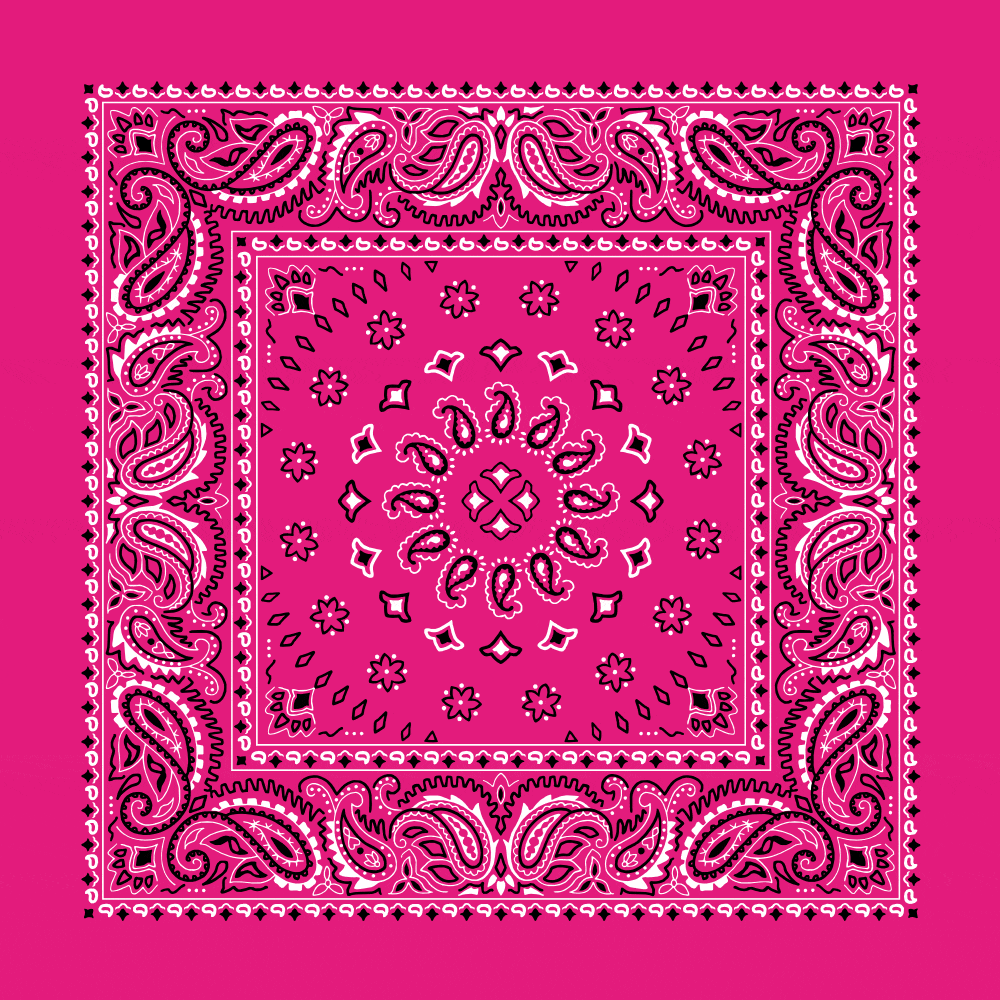 Square Burst Paisley Bandana Imported 100 Cotton