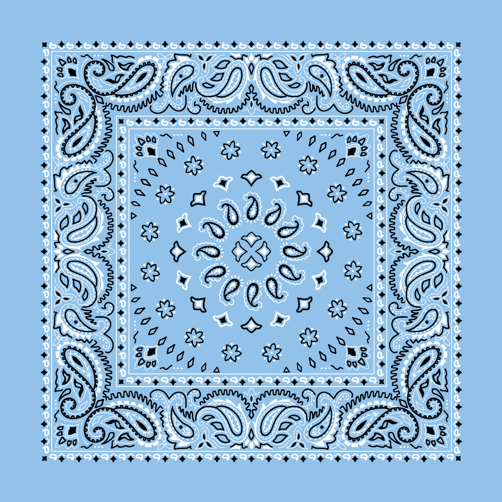 Square Burst Paisley Bandana Imported 100 Cotton