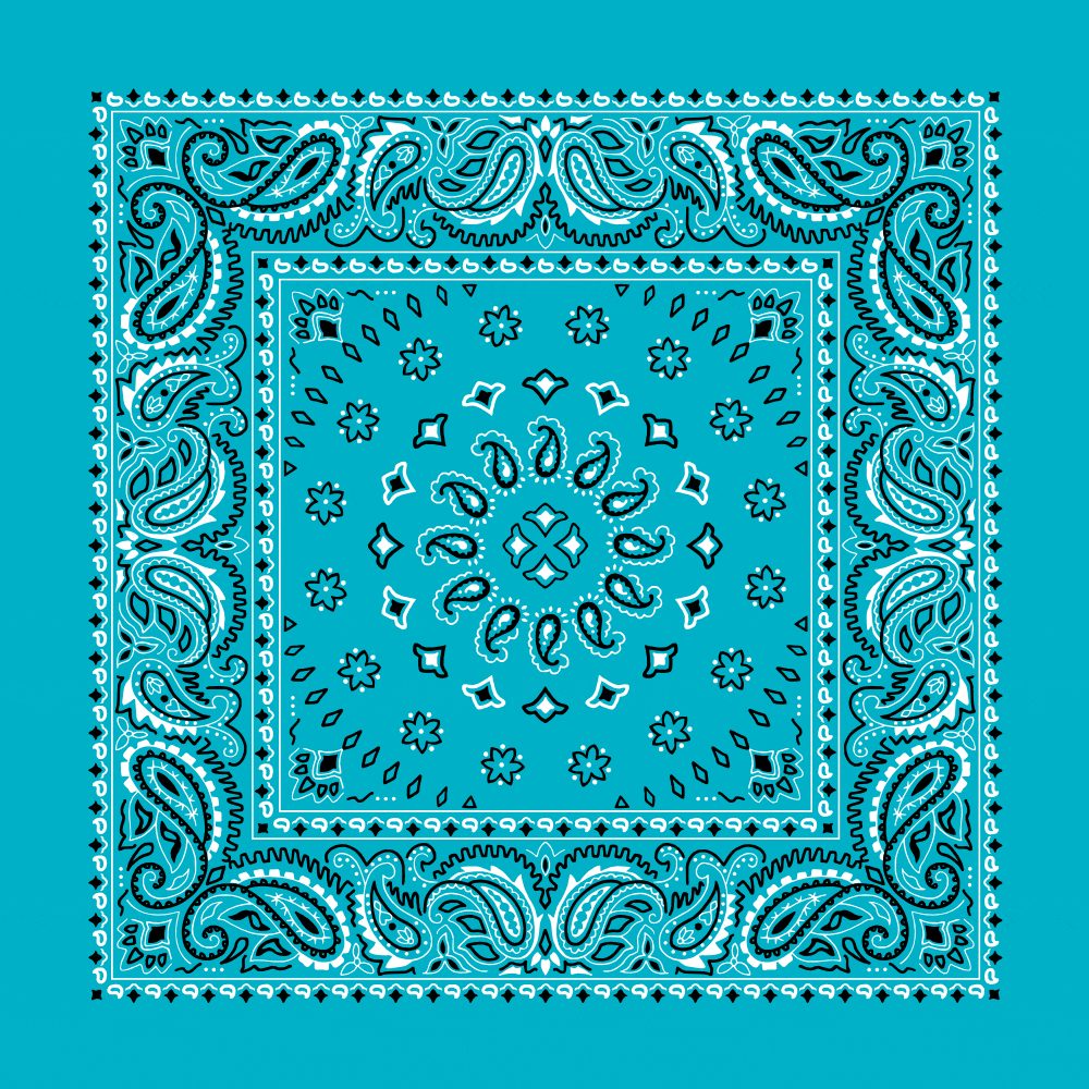Square Burst Paisley Bandana Imported 100 Cotton